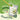 日本配方級抹茶粉,適合 Matcha Latte、凍抹茶牛奶、甜品及烘焙,無糖無奶精