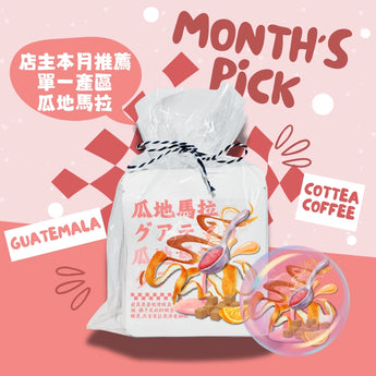 【每月限定】 瓜地馬拉・薇薇特南果掛耳咖啡